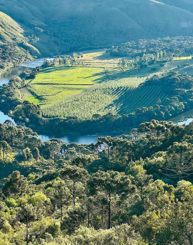 Pousada Fazenda Paim Sao Jose dos Ausentes Kültér fotó