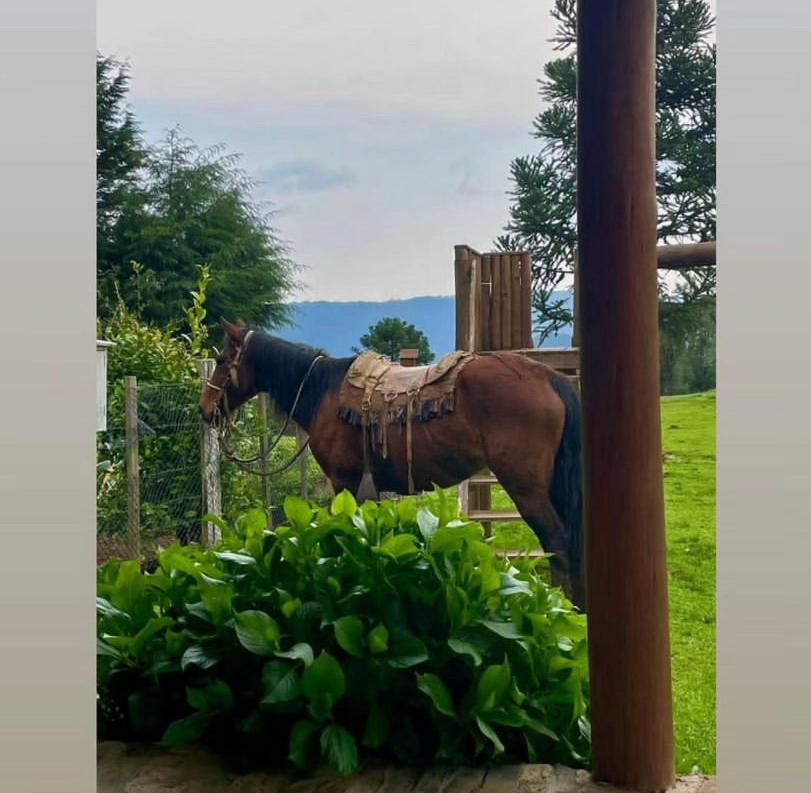 Pousada Fazenda Paim Sao Jose dos Ausentes Kültér fotó